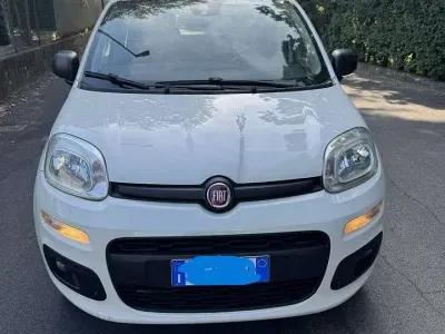 Usata Fiat Panda 90 CV (66 kW) 2018 Bianco Utilitaria