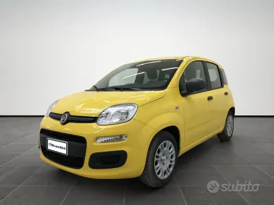 Nuova Fiat Panda Pop 65 CV (47 kW) 2026 Giallo Utilitaria
