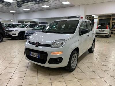 Usata Fiat Panda Easy 71 CV (52 kW) 2019 Bianco Utilitaria
