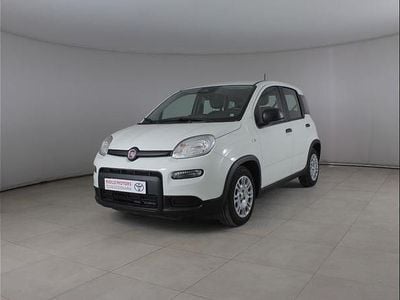 Usata Fiat Panda S 69 CV (50 kW) 2024 Bianco Berlina