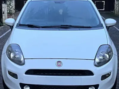Usata Fiat Punto Lounge 75 CV (55 kW) 2015 Utilitaria