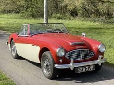 Usata Austin Healey 3000 MK I 124 CV (91 kW) 1959 Rosso Cabrio