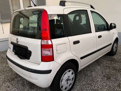 usata Fiat Panda 1.2 Dynamic 69cv E5