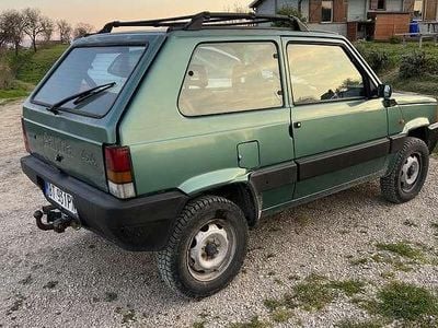 Usata Fiat Panda 4x4 Trekking 54 CV (39 kW) 2001 Utilitaria