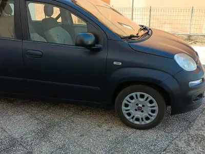 Usata Fiat Panda