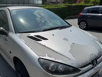 Usata Peugeot 206