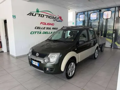 Usata Fiat Panda 4x4 Cross 69 CV (50 kW) 2008 Verde Utilitaria
