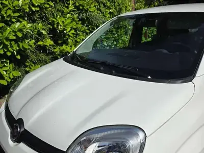 Usata Fiat Panda Easy 69 CV (50 kW) 2019 Bianco Utilitaria