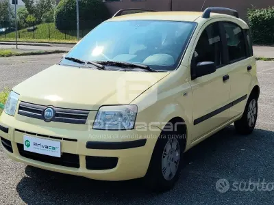 Usata Fiat Panda Dynamic 60 CV (44 kW) 2006 Giallo Utilitaria