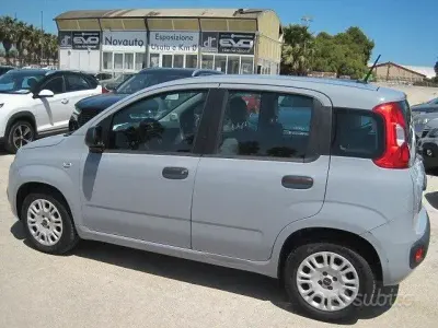 Usata Fiat Panda Easy 69 CV (50 kW) 2020 Grigio Utilitaria