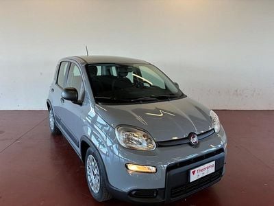 Usata Fiat Panda Cross Cross 69 CV (50 kW) 2023 Grigio artense Utilitaria