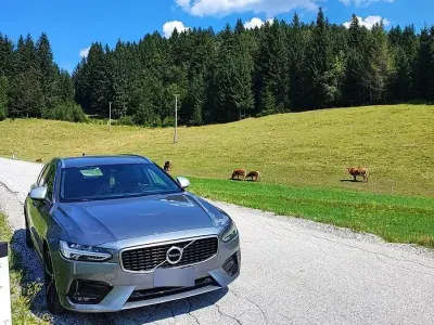 Usata Volvo V90 R-Design 150 CV (110 kW) 2019 Grigio Station wagon