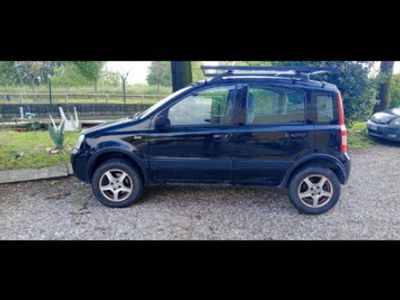 usata Fiat Panda 4x4 Panda 1.3 MJT 16V 4x4 Adventure