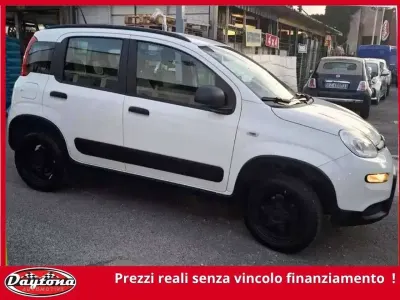 Usata Fiat Panda 4x4