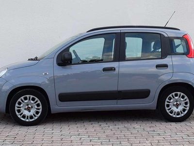 Usata Fiat Panda City Life 69 CV (50 kW) 2022 Grigio Utilitaria
