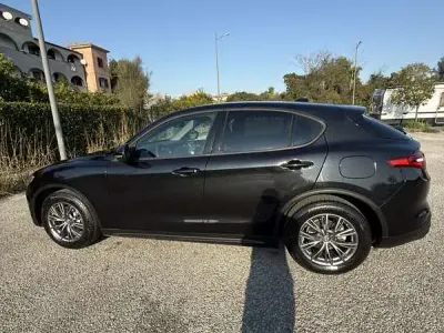 Usata Alfa Romeo Stelvio Business 160 CV (117 kW) 2019 SUV