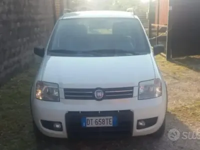 Usata Fiat Panda 60 CV (44 kW) 2008 Bianco Utilitaria