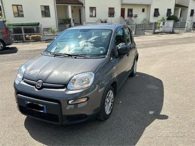 usata Fiat Panda Panda 1.0 FireFly S&S Hybrid