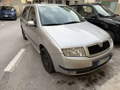 Usata Skoda Fabia