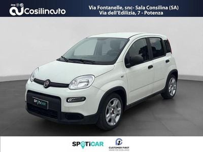 Usata Fiat Panda City Life 69 CV (50 kW) 2024 Bianco Utilitaria