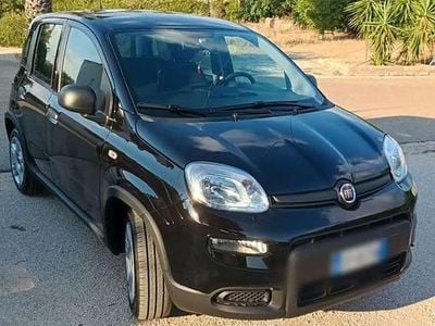 Usata Fiat Panda S 69 CV (50 kW) 2023 Utilitaria