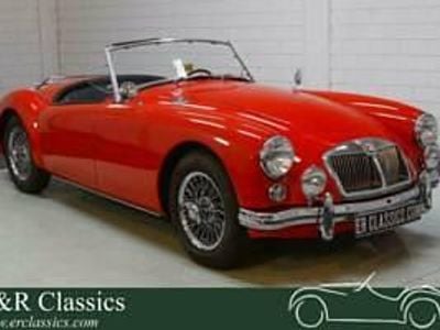 Usado MG 1600 90 CV (66 kW) 1962 Rojo Descapotable