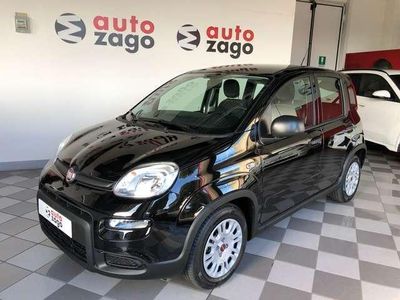 usata Fiat Panda 1.0 firefly Hybrid S&S 70 cv