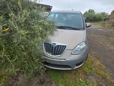 Usata Lancia Musa 95 CV (69 kW) 2010 Monovolume