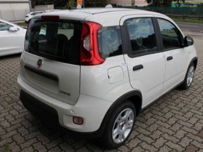 usata Fiat Panda Cross 1.0 FireFly S&S Hybrid City nuovo