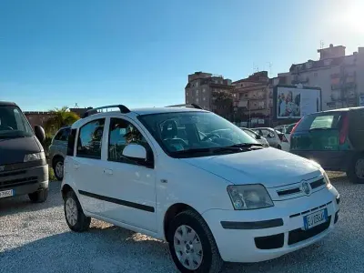 Usata Fiat Panda Active 75 CV (55 kW) 2011 Bianco Utilitaria
