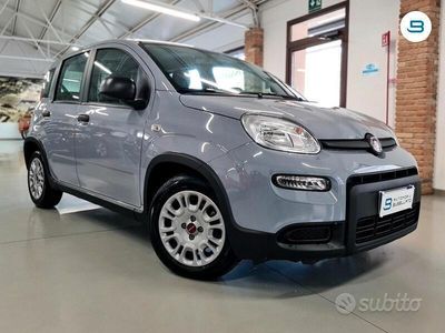 usata Fiat Panda 1.0 FireFly S&S Hybrid **NEOPATENTATI**