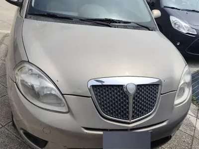 Usata Lancia Ypsilon 2007 Utilitaria