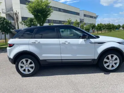Usata Land Rover Range Rover evoque 150 CV (110 kW) 2017 Bianco SUV