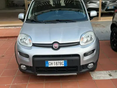 Usata Fiat Panda 4x4 S 95 CV (69 kW) 2019 Grigio Utilitaria