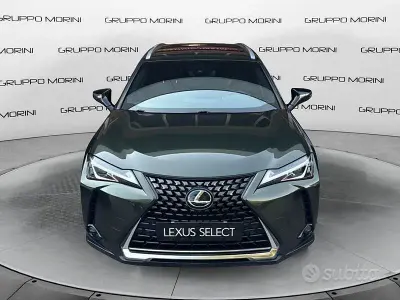 Usata Lexus UX 183 CV (134 kW) 2019 SUV