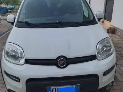Usata Fiat Panda 4x4 S 95 CV (69 kW) 2017 Bianco Utilitaria