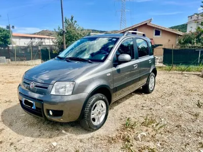 Usata Fiat Panda 4x4 Climbing 75 CV (55 kW) 2012 Grigio Utilitaria