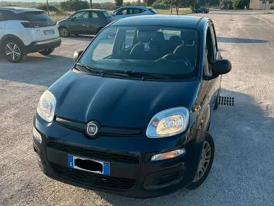 Usata Fiat Panda Easy 69 CV (50 kW) 2019 Utilitaria