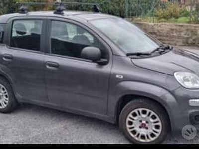 Usata Fiat Panda Easy 69 CV (50 kW) 2018 Grigio Utilitaria