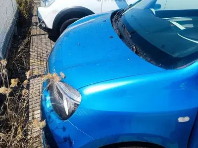 Usata Renault Twingo