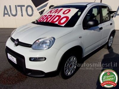 usata Fiat Panda 3ª serie 1.0 FireFly S&S Hybrid