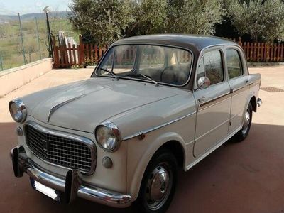 usata Fiat 1100 103 hlusso