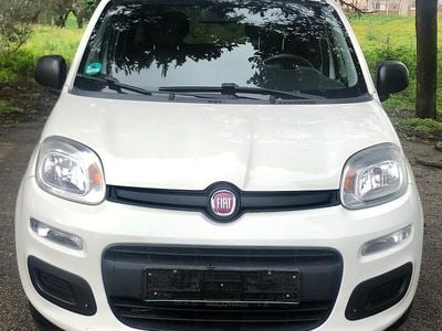 Usata Fiat Panda Easy 69 CV (50 kW) 2013 Bianco Berlina