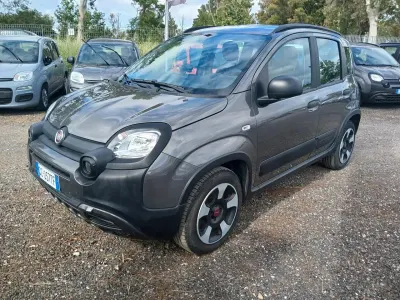 Usata Fiat Panda Cross Cross 69 CV (50 kW) 2021 Grigio Utilitaria