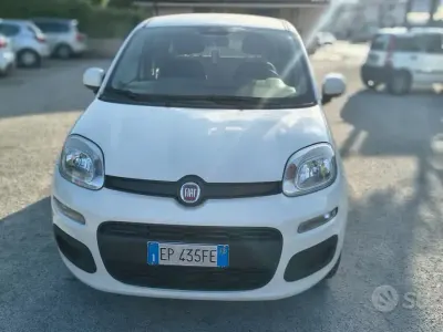 Usata Fiat Panda 85 CV (62 kW) 2012 Bianco Utilitaria