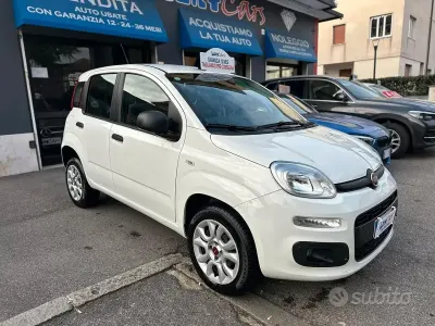 Usata Fiat Panda Easy 70 CV (51 kW) 2019 Bianco Utilitaria