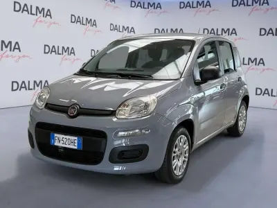 Usata Fiat Panda Pop 69 CV (50 kW) 2018 Grigio Utilitaria