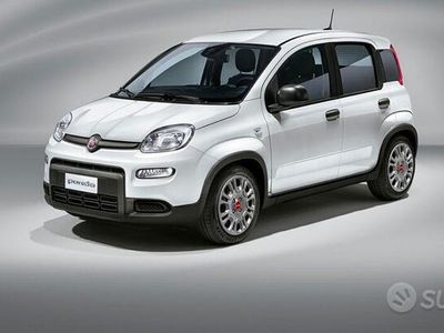 usata Fiat Panda KM0