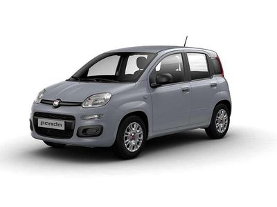 Usata Fiat Panda City Life 69 CV (50 kW) 2022 Grigio Utilitaria