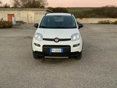 Occasion Fiat Panda 4x4 S 85 ch (62 kW) 2019 Blanc Citadine